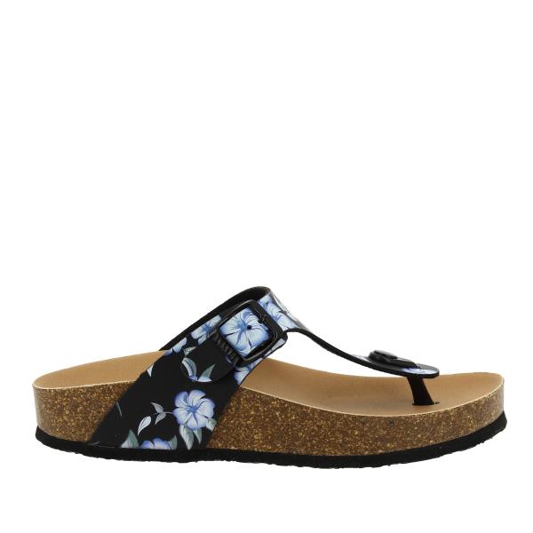 Plakton 341671 NEGRO-MULITI
