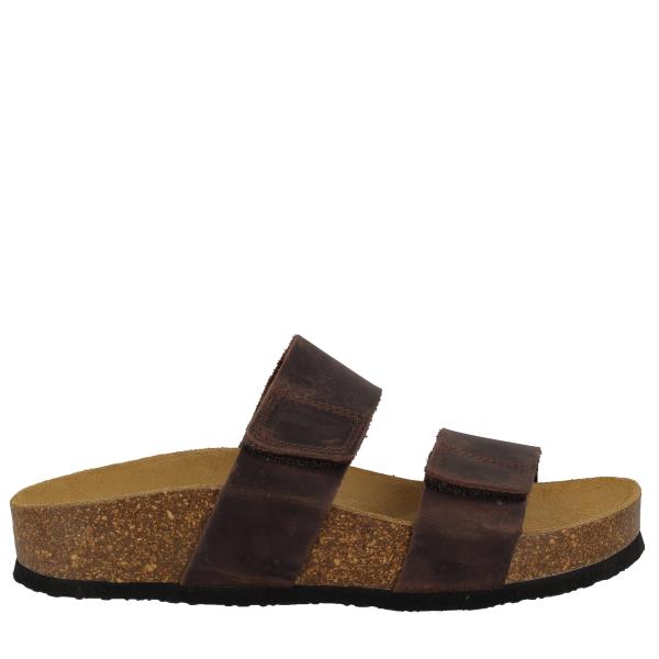 Plakton 343001 MARRONE