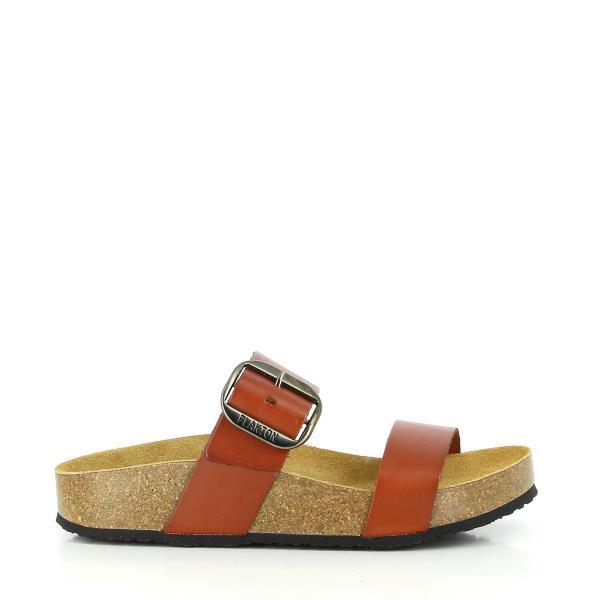 Plakton 343004 CUERO