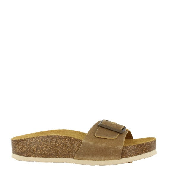 Plakton 345415 BEIG 142