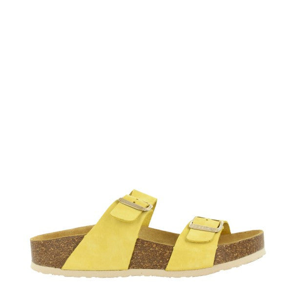 Plakton 345646 AMARILLO