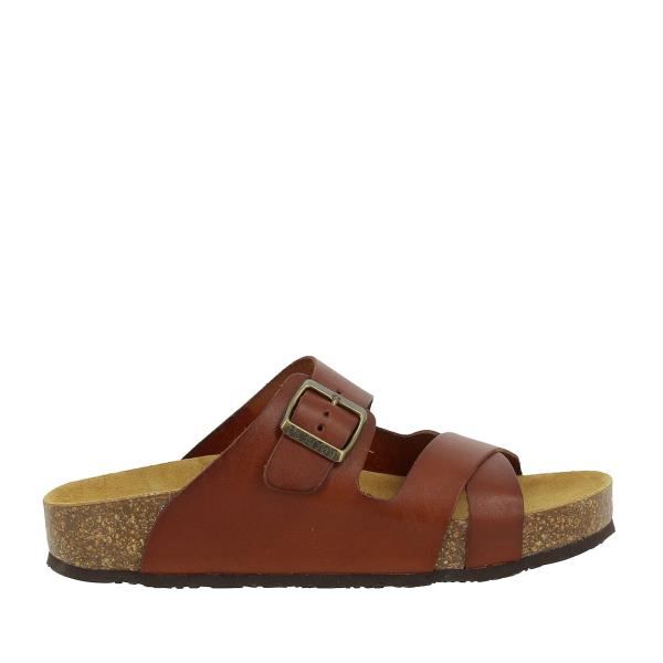Plakton 345984 CAMELLO