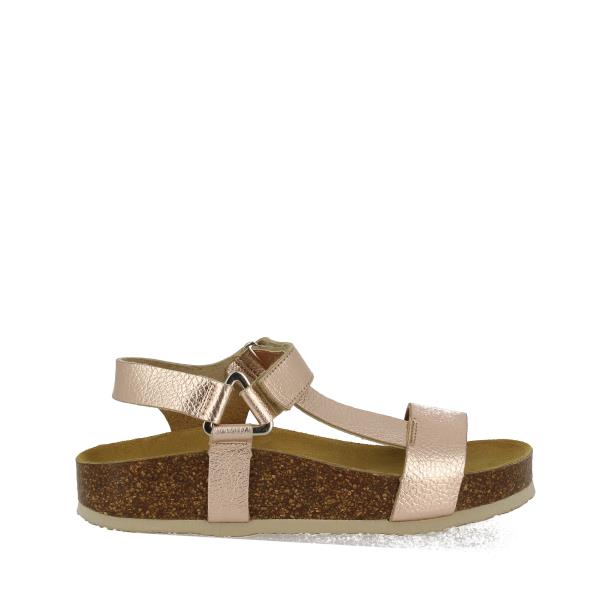 Plakton 346127 ROSE-05
