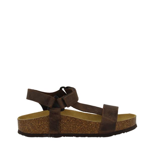 Plakton 346127 TOSTADO-219
