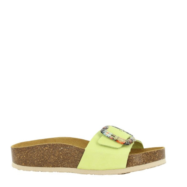 Plakton 346326 VERDE