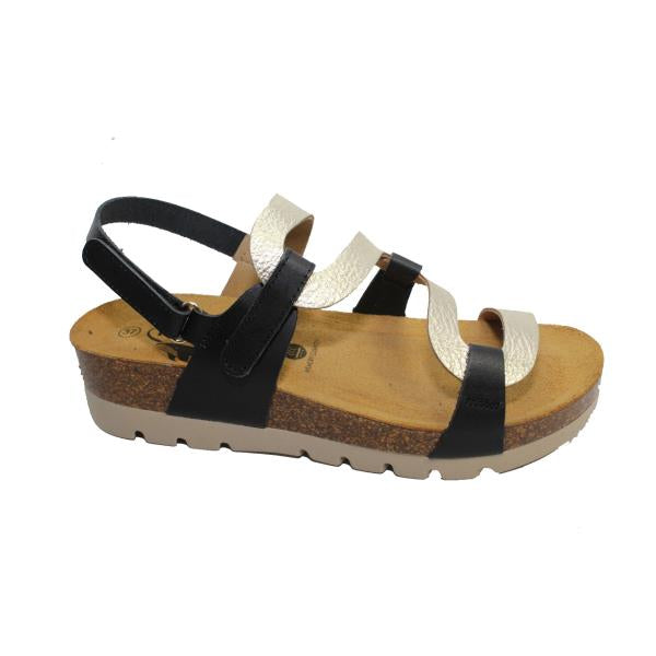 Plakton 352005 NEGRO-ORO-03