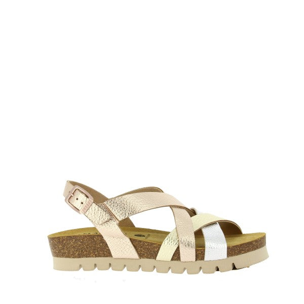 Plakton 355888-15 ROSE 05-ORO-MULTI