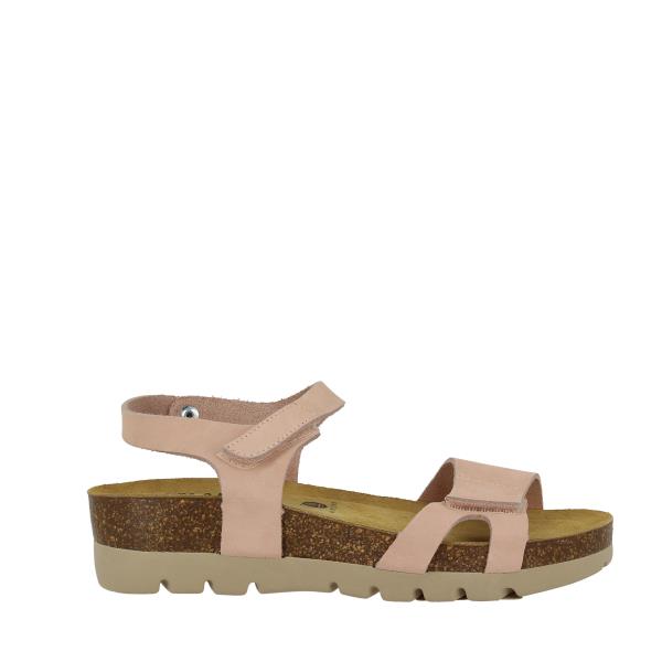 Plakton 356045 CORCHO