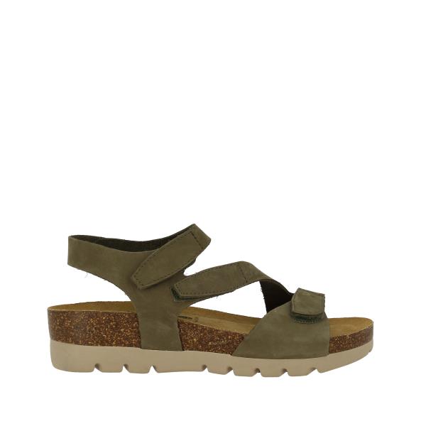 Plakton 356131 KAKI