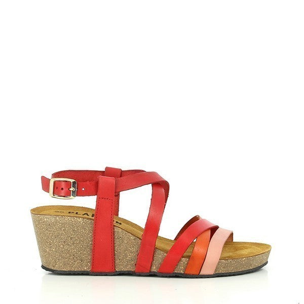 Plakton 365174 RED-MUILTI