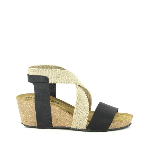 Plakton 365848 BLACK-LINO