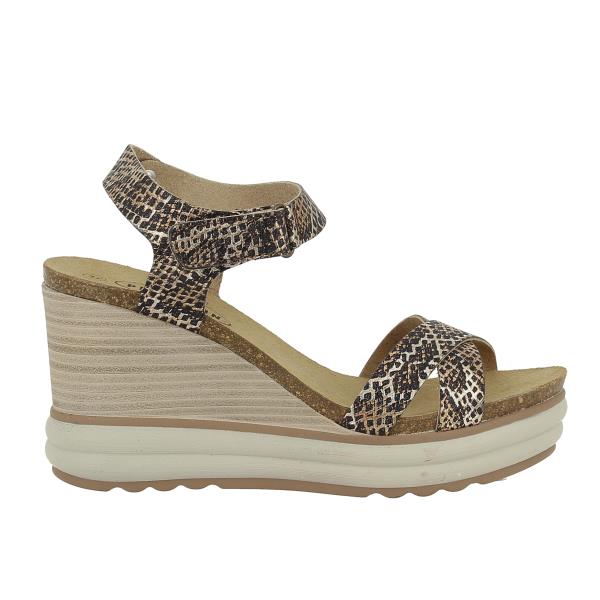 Plakton 375899 BROWN