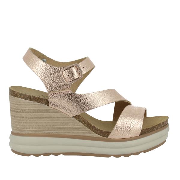 Plakton 375900 ROSE