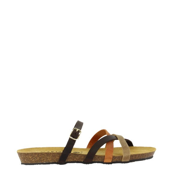 Plakton 401025 MARRON 448