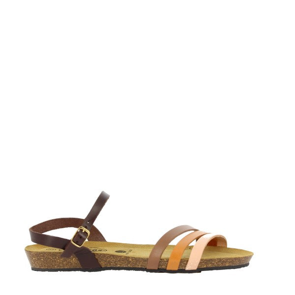 Plakton 405080 MARRON-MAQUILAJE-MULITI