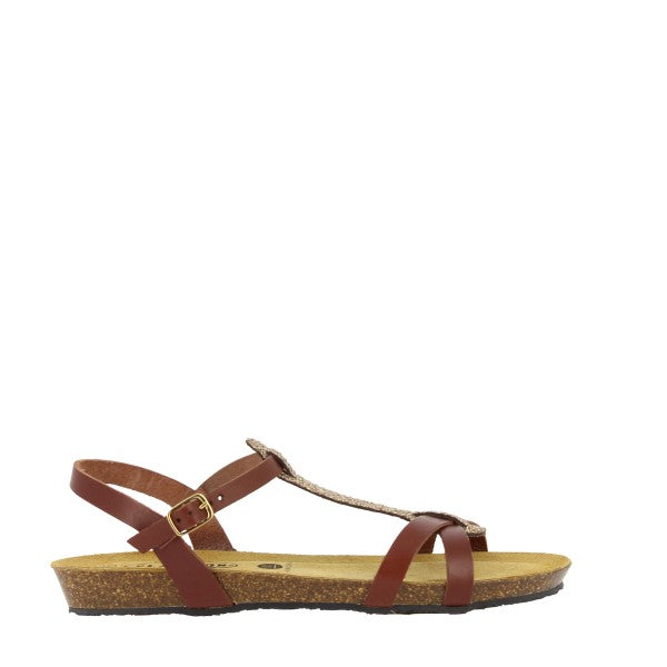 Plakton 405412 MARRON-CORCHO-MULITI