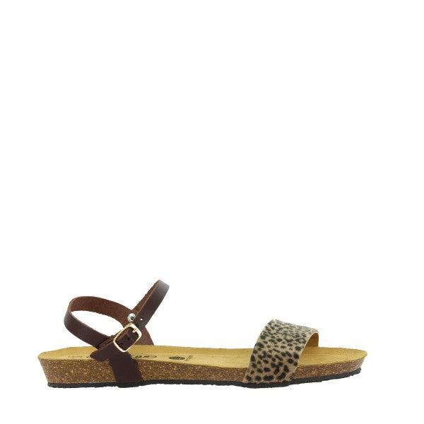 Plakton 405725 MARRON-MULTI