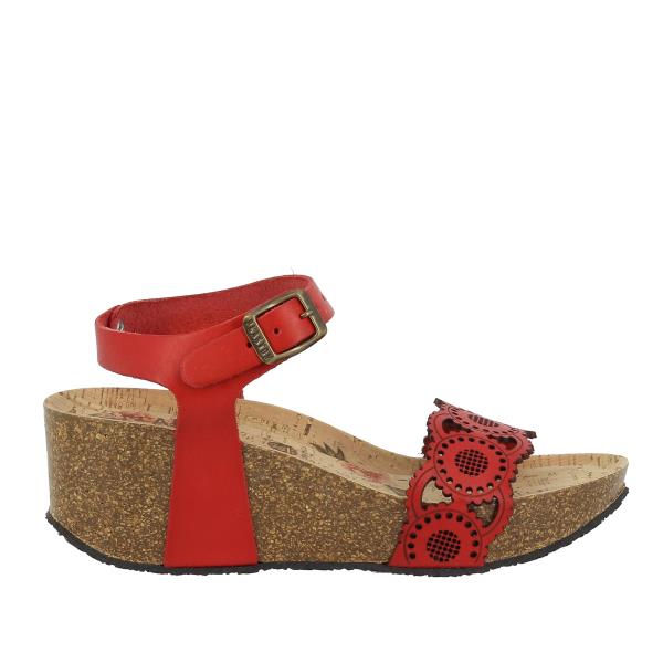 Plakton 446040 ROJO