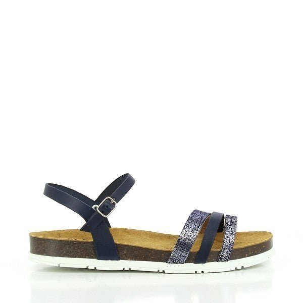 Plakton 565080 GOLD-MULTI