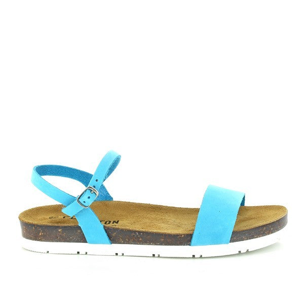 Plakton 565520 BLUE
