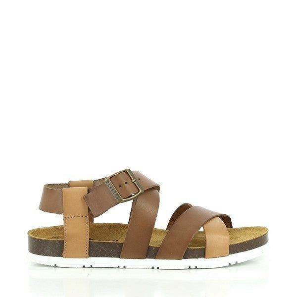 Plakton 565670 SAND-MULTI