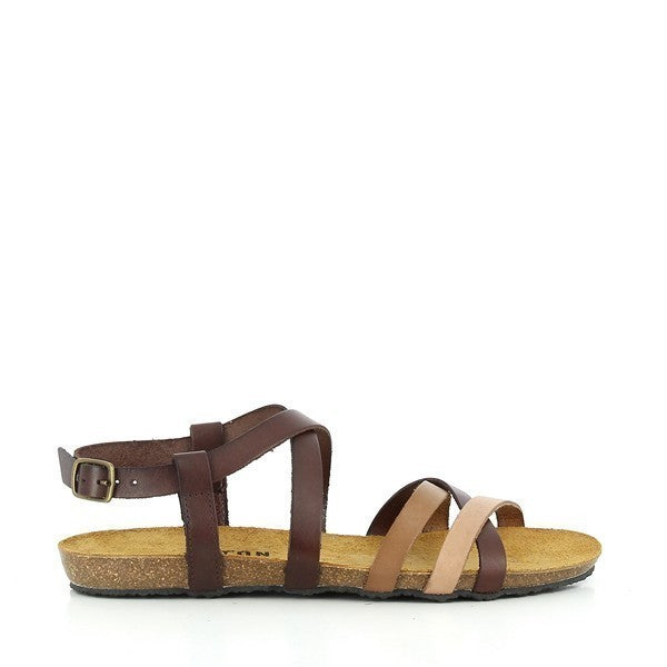 Plakton 575184 BROWN-MULTI