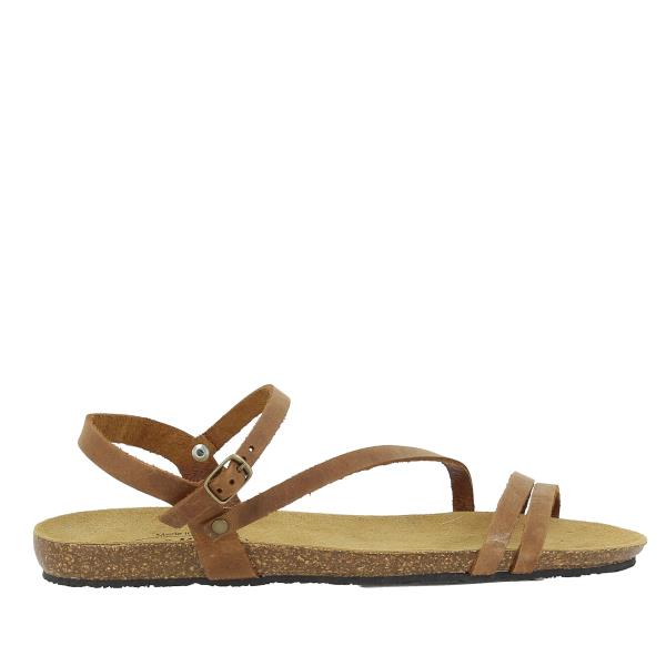 Plakton 575660 ROBLE-225