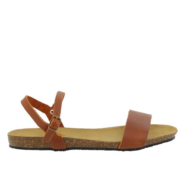 Plakton 575725 GOLD