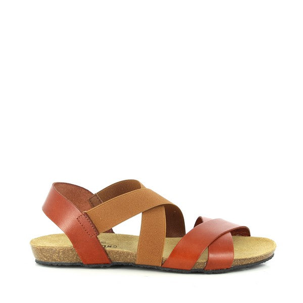 Plakton 575849 CUERO