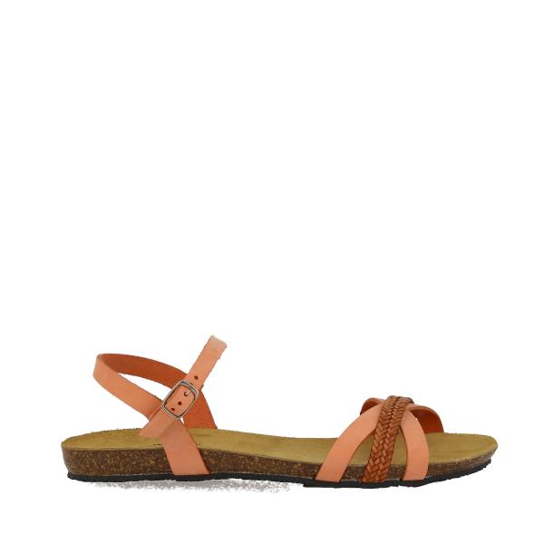 Plakton 576118 INCAS-NARANJA