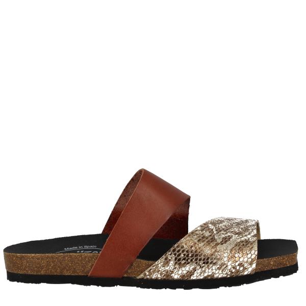 Plakton 585676 MARRON-GOLD