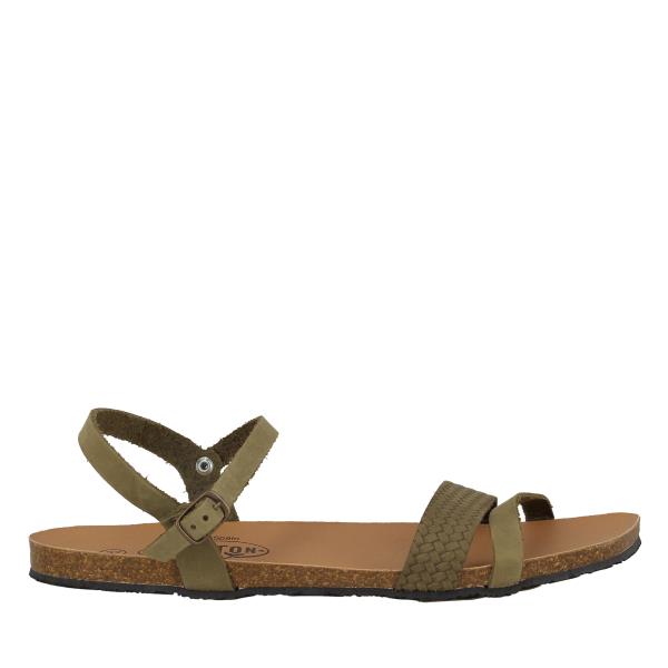 Plakton 645348 OLIVA