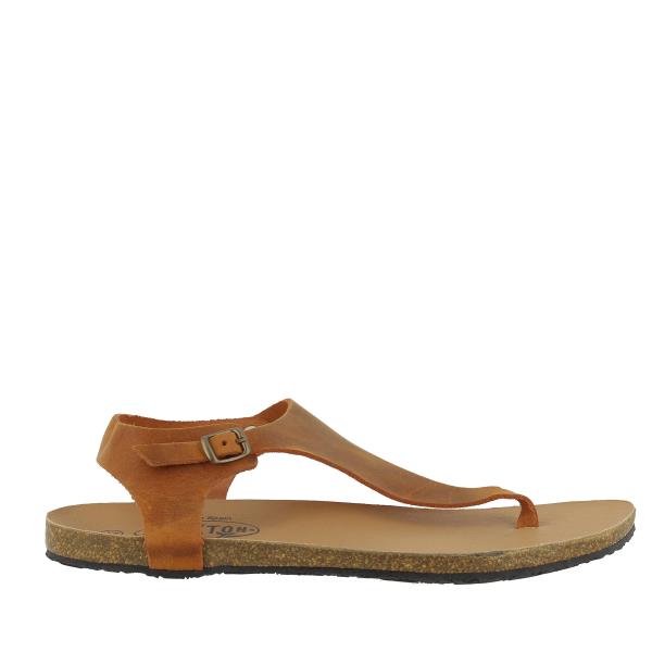 Plakton 645686 CUERO