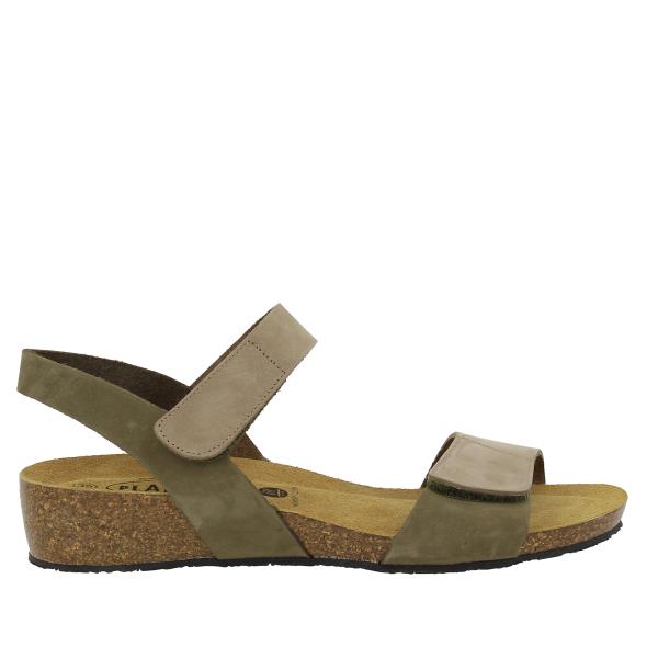 Plakton 775893 KAKI