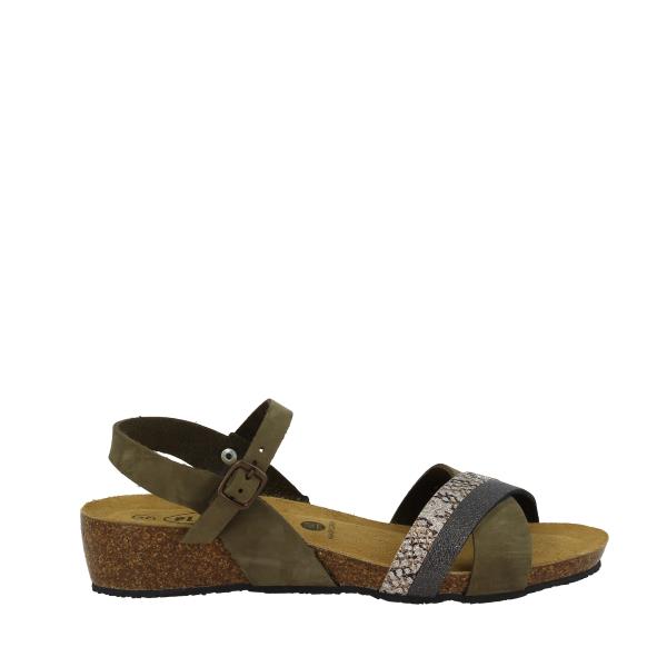 Plakton 775895 KAKI-SILVER-MULITI