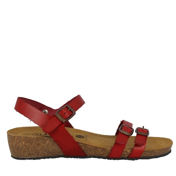 Plakton 775920 INCAS