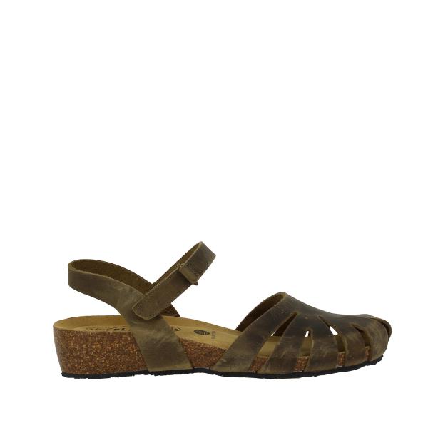 Plakton 775929 KAKI-731