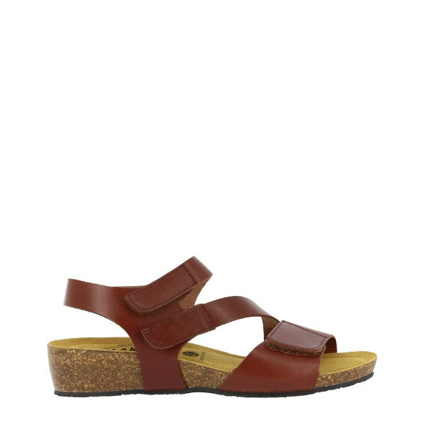 Plakton 776290 CORCHO