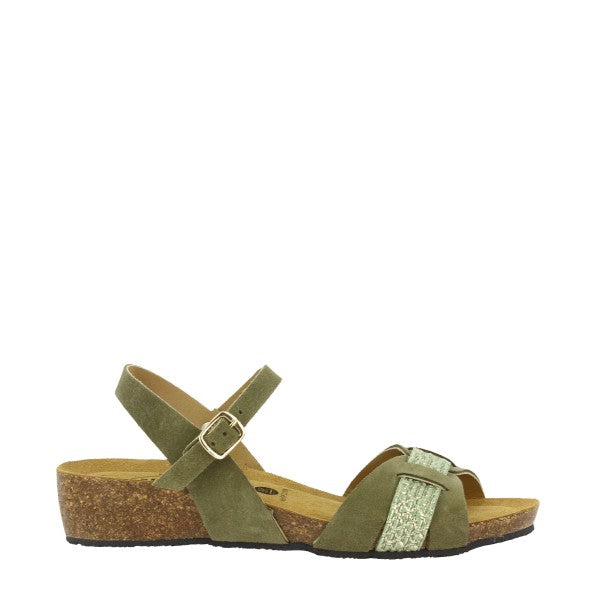 Plakton 776431 KAKI-VERDE