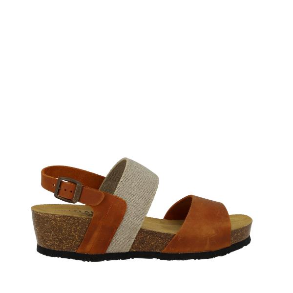 Plakton 826133 CUERO-534