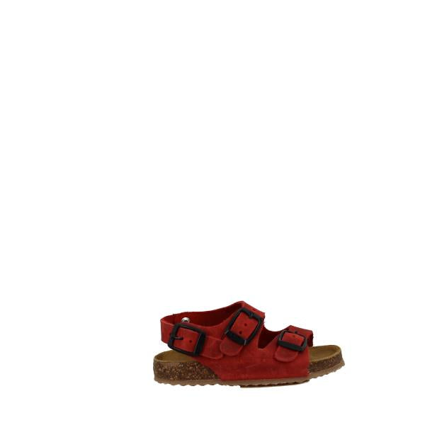 Plakton 850046 ROBLE 301