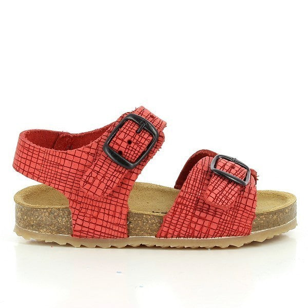 Plakton 855065 CASTOR-723