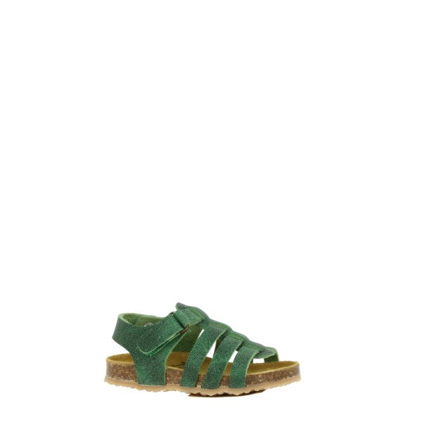 Plakton 855381 LINO-199