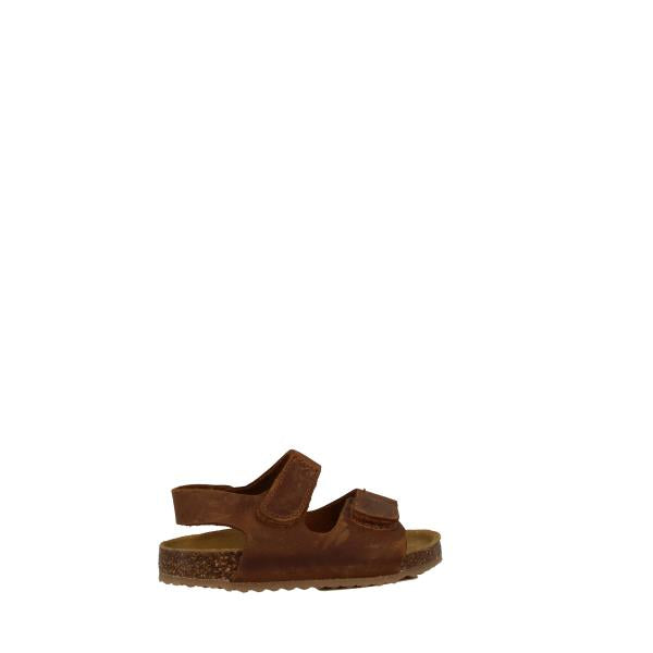 Plakton 855571 ROBLE-225