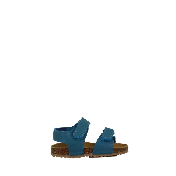 Plakton 855703 TURQUESA