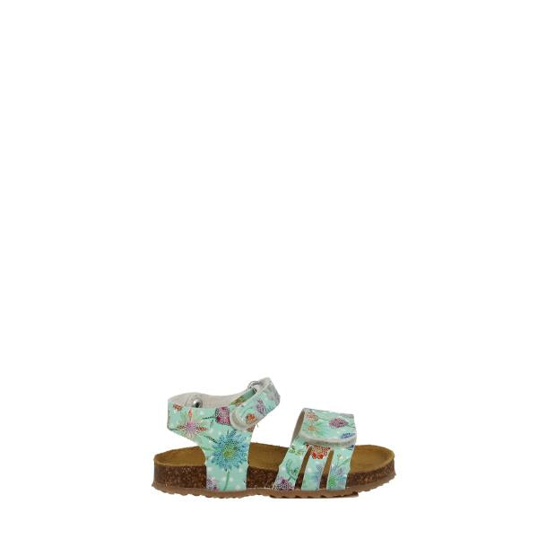 Plakton 865517 VERDE-6