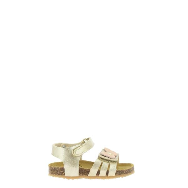 Plakton 865518 ORO-4