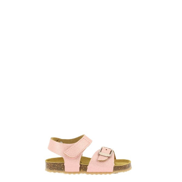 Plakton 865659 CORAL