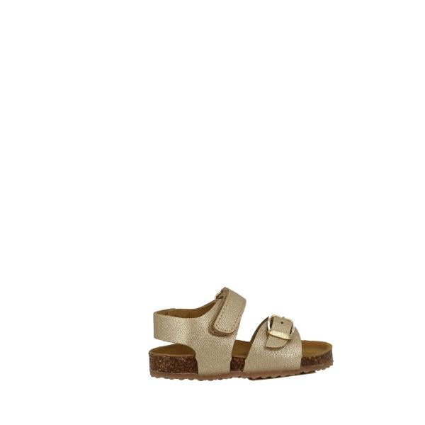 Plakton 865936 ORO-02-MULTI