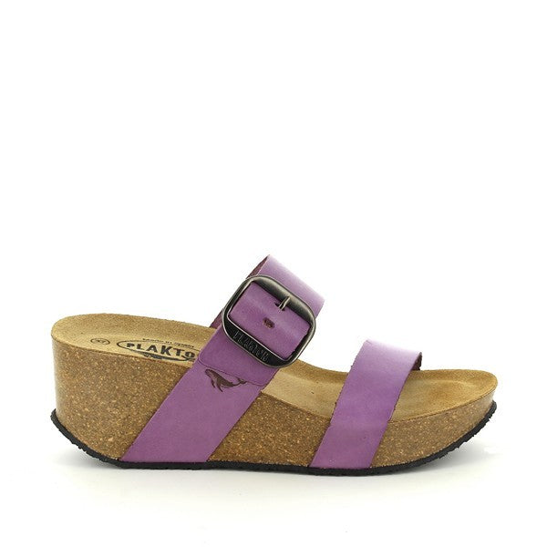 Plakton 873004 ROSE-05-MULTI